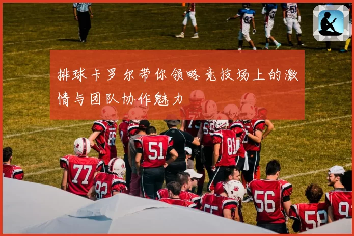 排球卡罗尔带你领略竞技场上的激情与团队协作魅力
