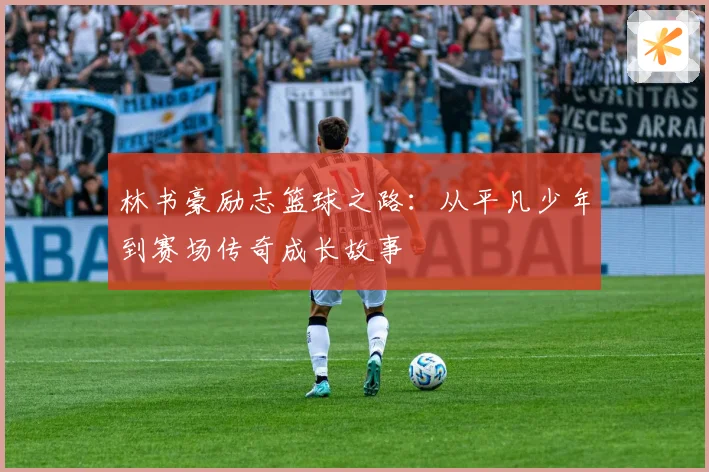林书豪励志篮球之路：从平凡少年到赛场传奇成长故事