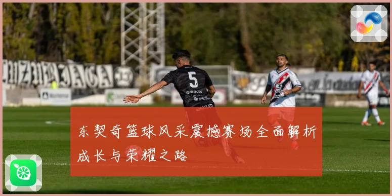 东契奇篮球风采震撼赛场全面解析成长与荣耀之路