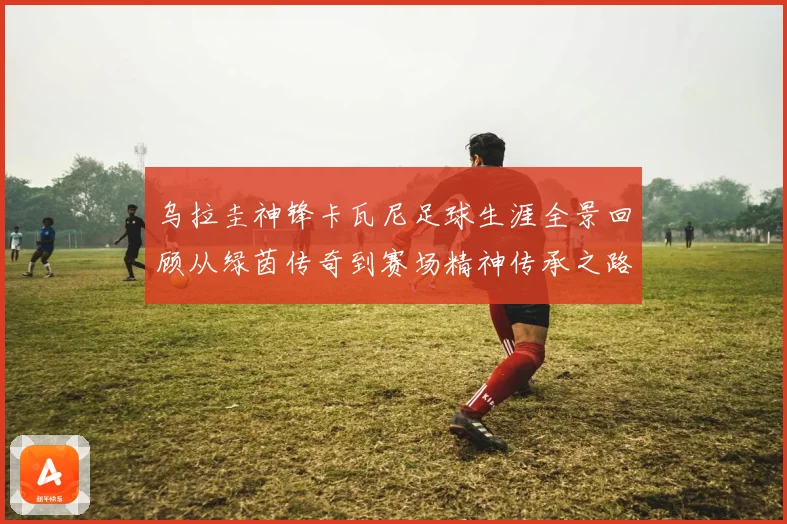 乌拉圭神锋卡瓦尼足球生涯全景回顾从绿茵传奇到赛场精神传承之路